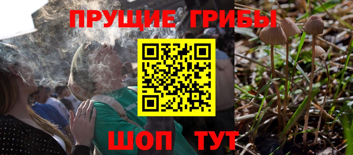 Псилоцибиновые грибы ЛСД  Вход с VPN  магазин продажи наркотиков  Малоярославец 