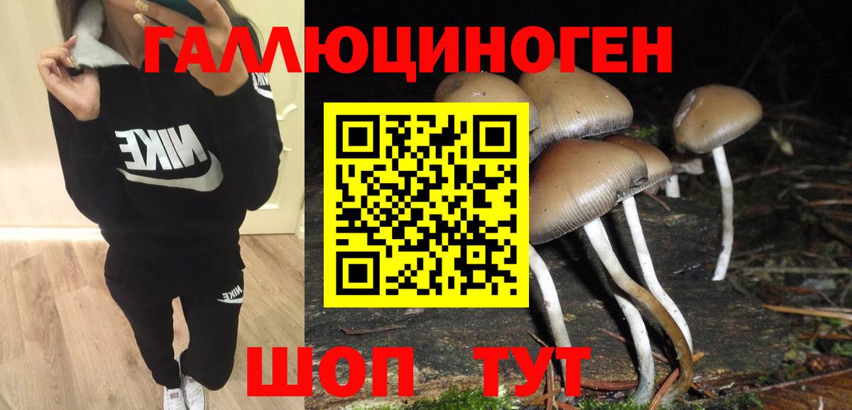 Галлюциногенные грибы Cubensis Малоярославец